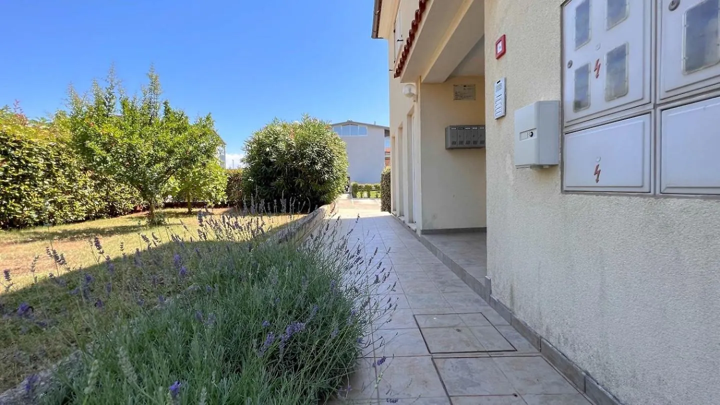 Sonia Apartment Novigrad